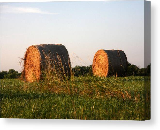 Rolled Bales Of Hay Canvas Print featuring the photograph Rolls of Hay by Marta Alfred