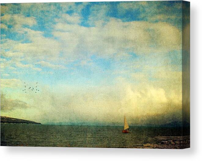 Seascape Canvas Print featuring the photograph Sailing on the Sea by Michele Cornelius