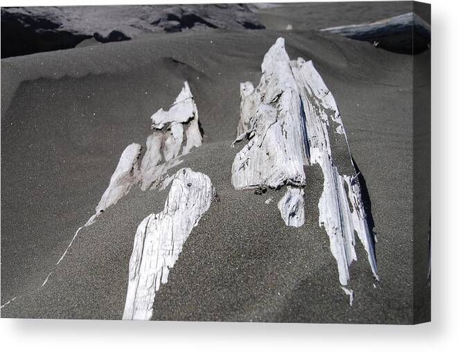 Sand Canvas Print featuring the photograph Sands of Time by Michael Merry