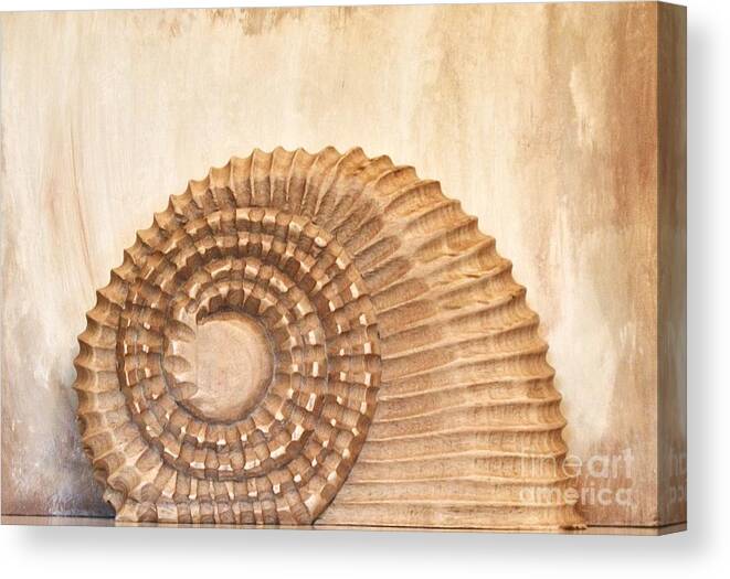 Photo Canvas Print featuring the photograph Sculpted Wood Nautilus by Marsha Heiken