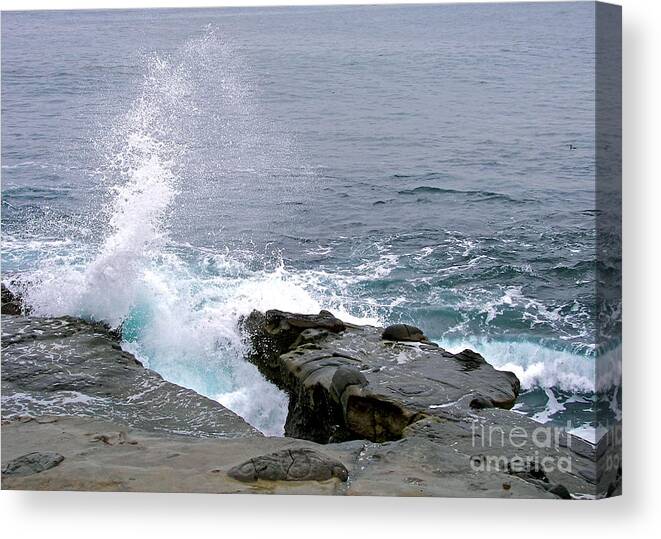 Pacific Canvas Print featuring the photograph Sea Foam by Carol Bradley
