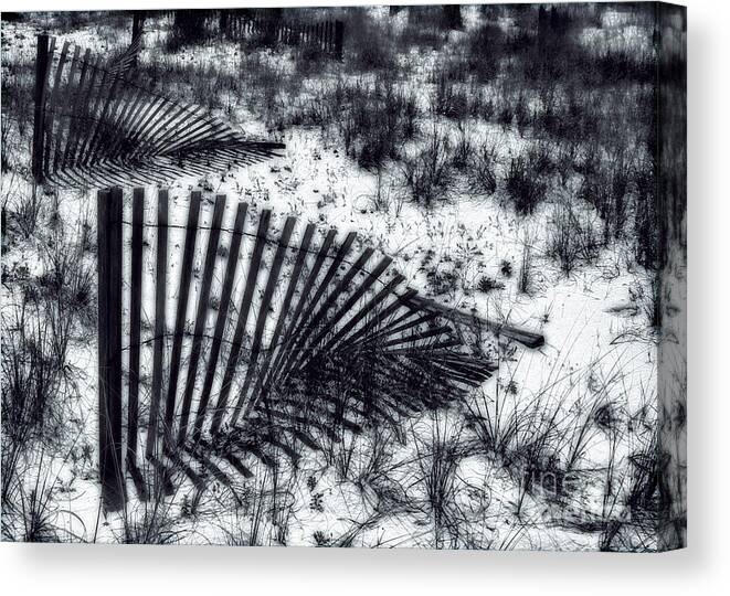 Seashore Canvas Print featuring the photograph Shadows on the Dune by Judi Bagwell