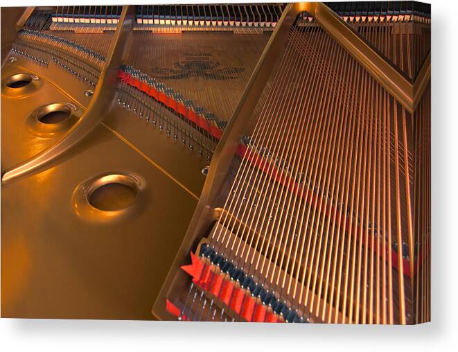 Something Grand Canvas Print featuring the photograph Something Grand by Steven Richardson