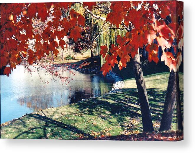Autumn Canvas Print featuring the photograph Stop and Gaze by Barbara Plattenburg