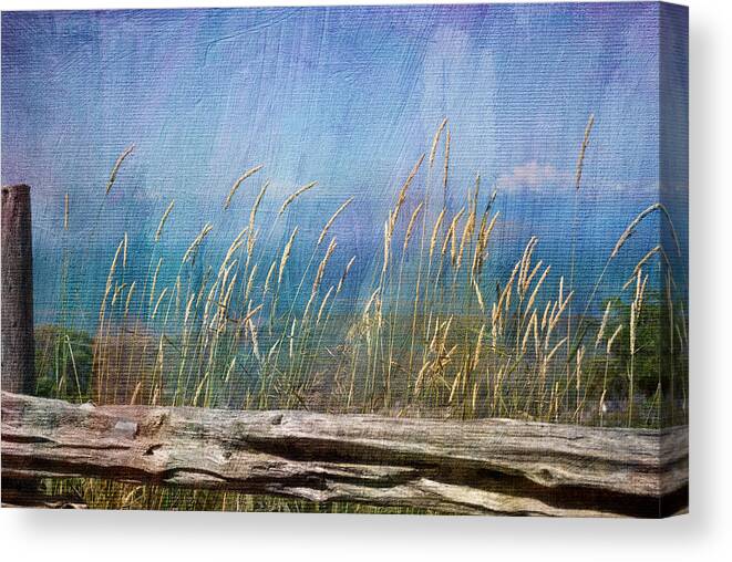 Summer Canvas Print featuring the photograph Summer Rendezvous by Robin Webster