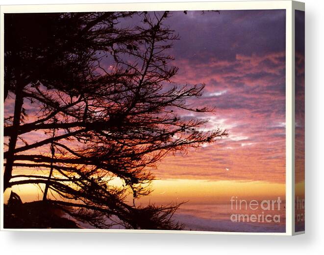Sunrise Canvas Print featuring the photograph Sunrise in Isla Vista by Johanne Peale