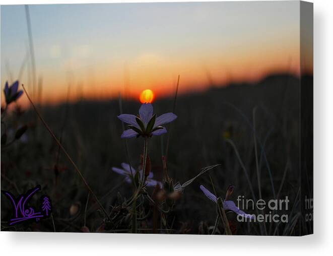 Wyoming Canvas Print featuring the photograph The kiss of dawn by Wesley Hahn