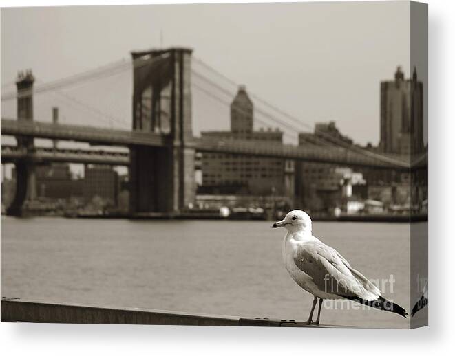 Newyork08 Canvas Print featuring the photograph The seagull of the Brooklyn Bridge by RicardMN Photography