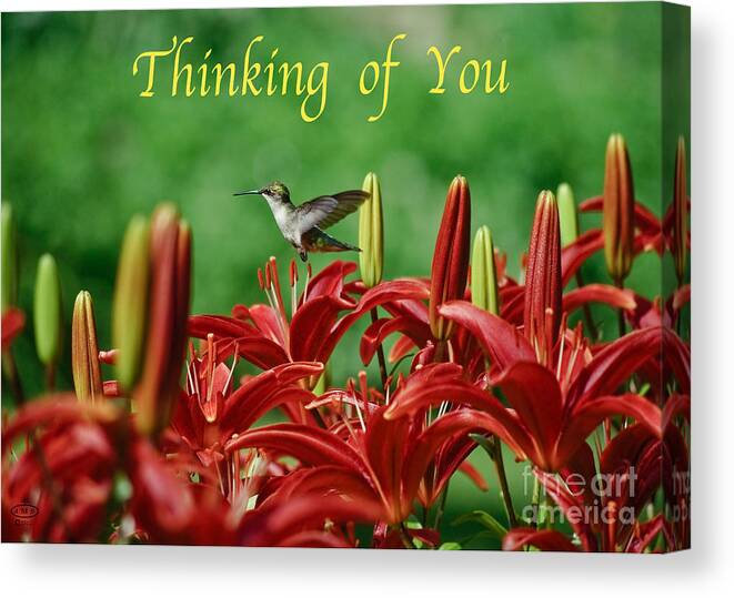 Card Art Canvas Print featuring the photograph Thinking of You by John Stephens