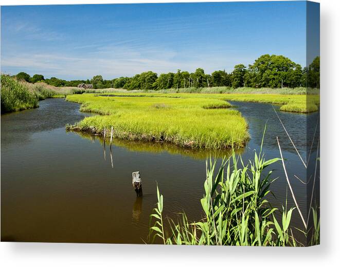Wetlands Canvas Print featuring the photograph Tidal Wetland by Cathy Kovarik