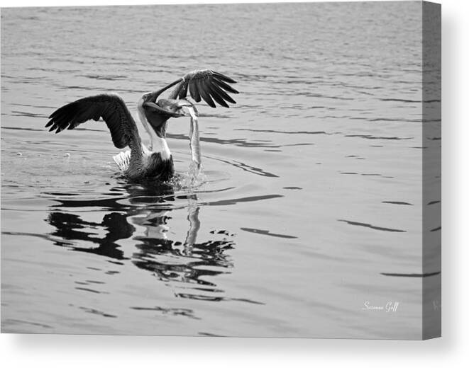 Black And White Canvas Print featuring the photograph Time for Sushi in black and white by Suzanne Gaff