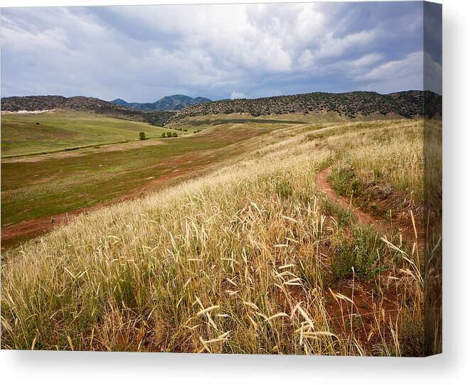Trail Canvas Print featuring the photograph Trail into the Mountains by Adam Pender