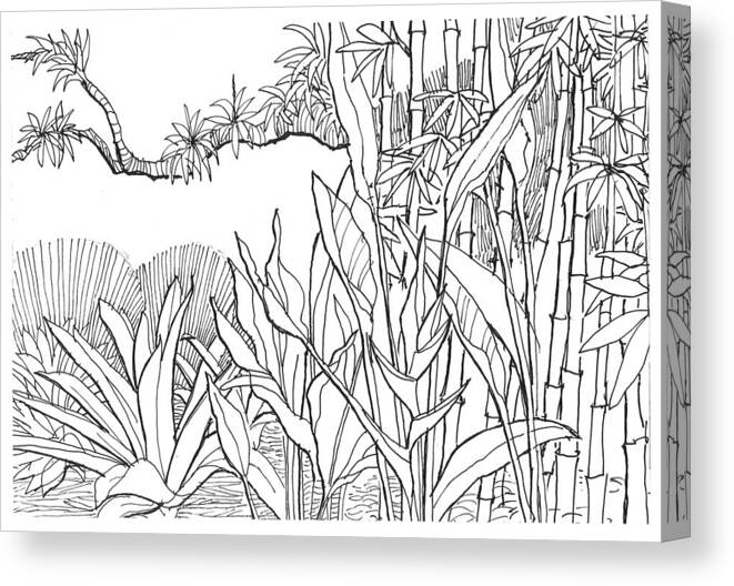Bamboo Canvas Print featuring the drawing Tropical Blend by David Burkart