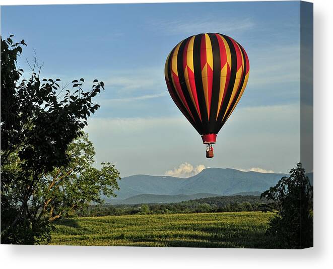 Hot Air Balloon Canvas Print featuring the photograph Up Up And Away Blueridge 2 by Lara Ellis