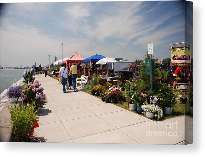 Vantage Point Canvas Print featuring the photograph Vantage Point by Grace Grogan