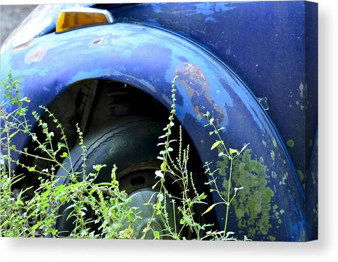 Volkswagen Canvas Print featuring the photograph Volkswagen Graveyard - 1 by Carolyn Marshall