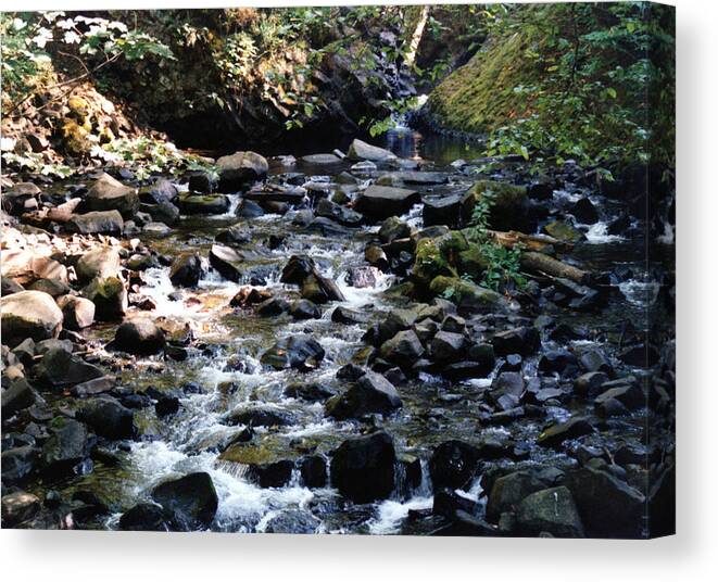 Oregon Canvas Print featuring the photograph Water Over Rocks by Maureen E Ritter