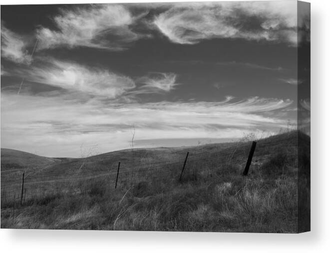 Hills Canvas Print featuring the photograph Whipping up the Hillside by Kathleen Grace