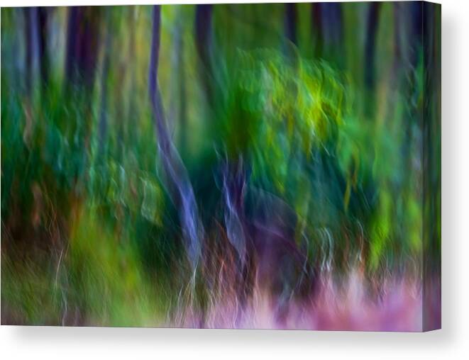 Abstract Canvas Print featuring the photograph Whispers on the Wind by Michelle Wrighton