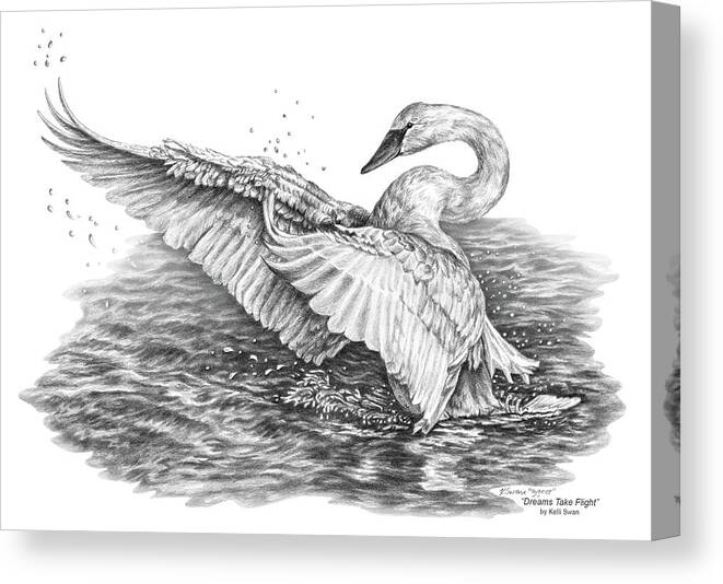 White Swan Canvas Print featuring the drawing White Swan - Dreams Take Flight by Kelli Swan