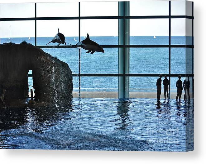 Shedd Aquarium Canvas Print featuring the photograph Who's Watching Who by Jim Simak