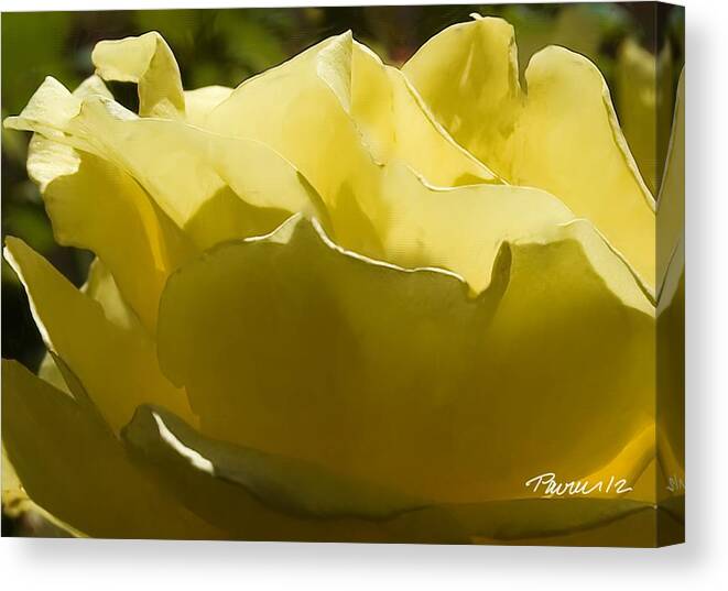 Painting Flower Rose Pavelle Fine Art Canvas Print featuring the digital art Wilting Rose by Jim Pavelle