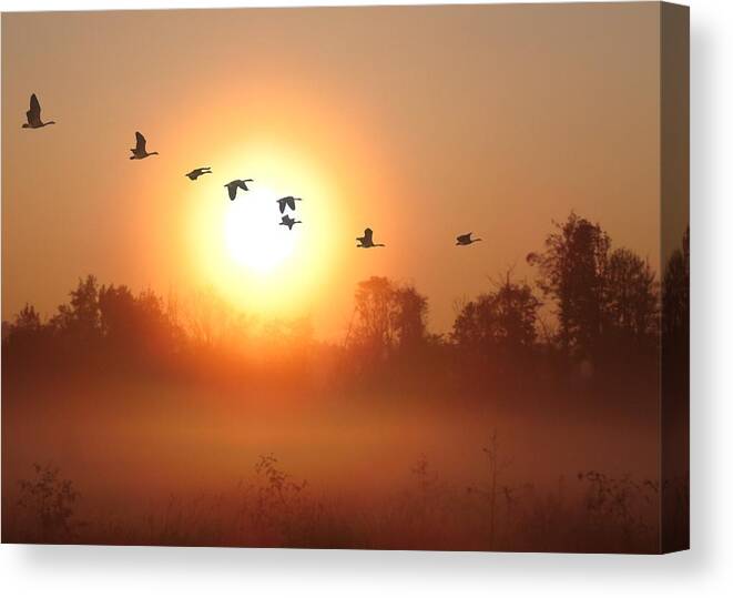 Canada Geese Canvas Print featuring the digital art Returning South by I'ina Van Lawick