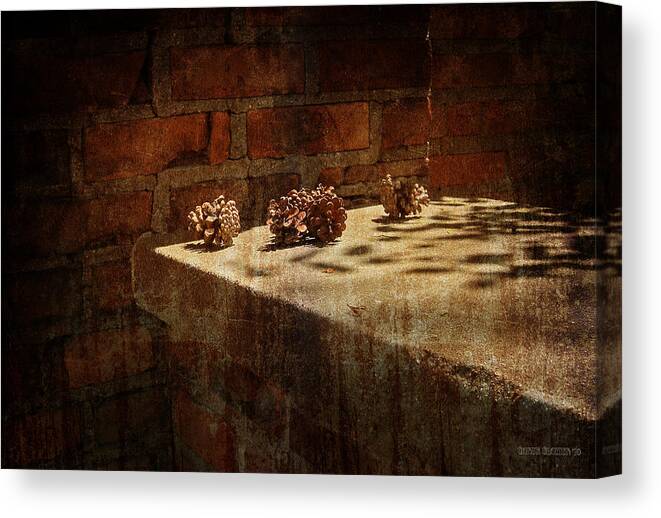 Pine Cones Canvas Print featuring the photograph Accidental Still Life #1 by Garth Glazier
