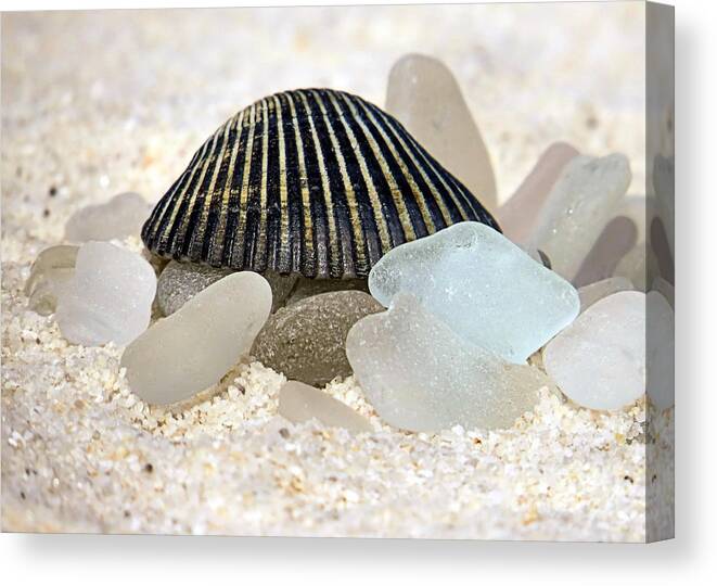 Black Canvas Print featuring the photograph Black and White Sea Glass by Janice Drew