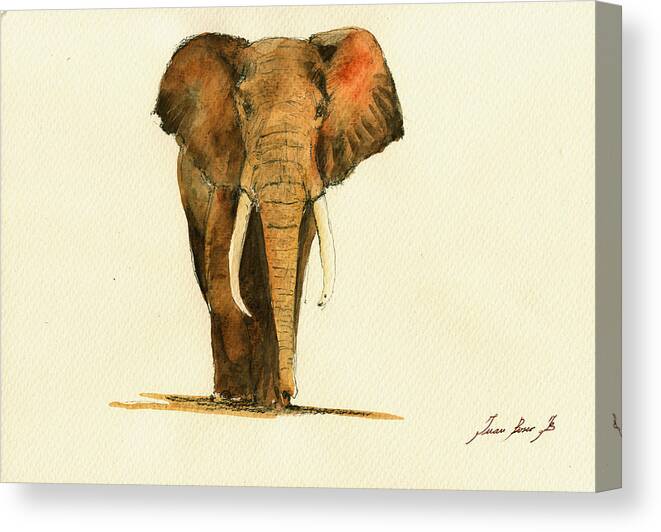 Elephant Canvas Print featuring the painting Elephant Watercolor #1 by Juan Bosco