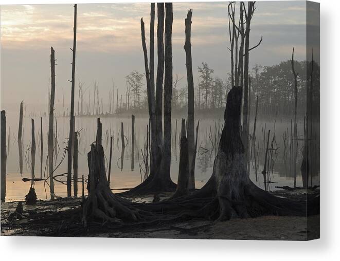 Sunrise Canvas Print featuring the photograph First Light #1 by Andrew Kazmierski