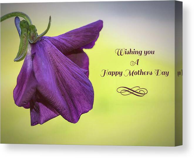 Pansy Canvas Print featuring the photograph Happy Mothers Day #1 by Cathy Kovarik