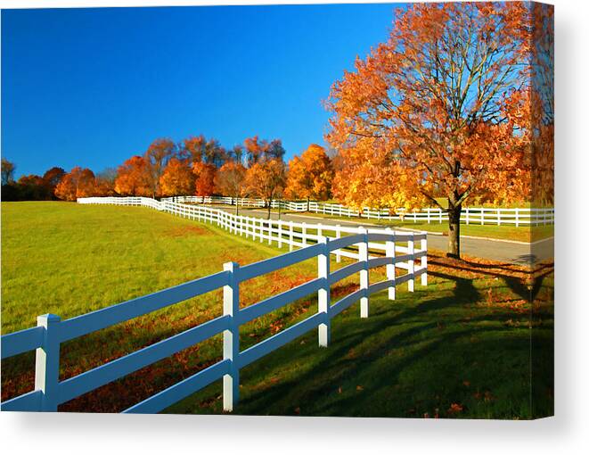 Design Canvas Print featuring the photograph Leading Lines 2 - Digital Painting by Allen Beatty