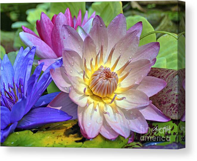 Lily Canvas Print featuring the photograph Lilies No. 43 #1 by Anne Klar