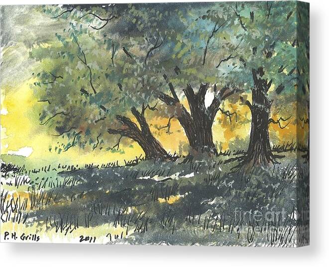 Trees Canvas Print featuring the painting Old Oaks #1 by Patrick Grills