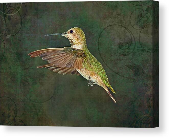 Hummingbird Canvas Print featuring the photograph Only in the Moment #1 by Theo O'Connor