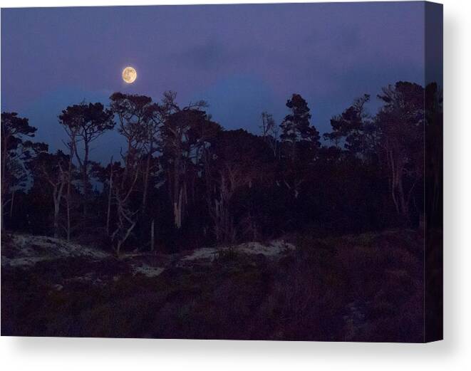 Moon Canvas Print featuring the photograph Pebble Beach Moonrise by Derek Dean