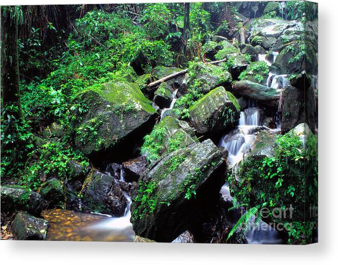 Puerto Rico Canvas Print featuring the photograph Rainforest Waterfall #1 by Thomas R Fletcher