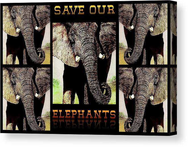 Elephant Canvas Print featuring the painting Save Our Endangered Elephants by Hartmut Jager
