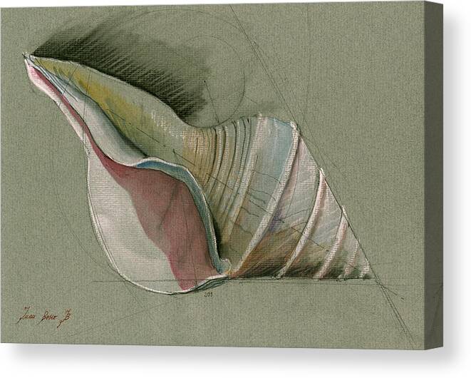 Seashell Canvas Print featuring the painting Seashell art painting #1 by Juan Bosco
