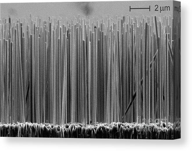 Science Canvas Print featuring the photograph Semiconductor Nanowires, Sem #1 by Lorelle Mansfield/NIST
