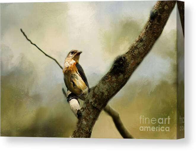 Social Birds Canvas Print featuring the photograph The Watcher #1 by Darren Fisher