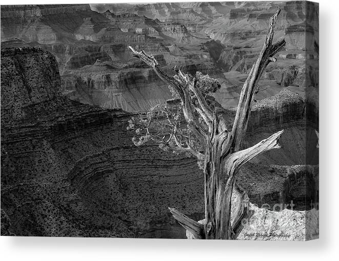 Grand Canyon Canvas Print featuring the photograph Timeless #1 by Joseph Noonan