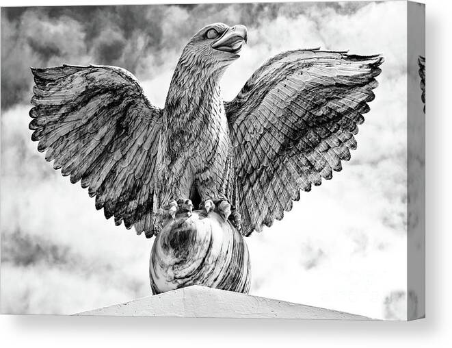 Aggressive Canvas Print featuring the photograph Victorious Eagle of Marble #1 by Yurix Sardinelly