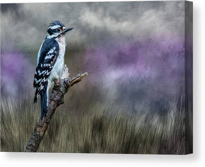 Bird Canvas Print featuring the photograph Woody by Cathy Kovarik