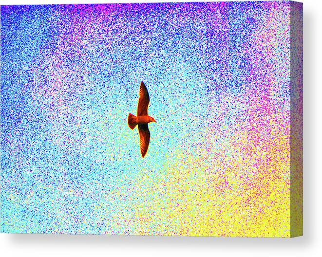 Seagull Canvas Print featuring the digital art 12- Gulliver's Travels by Joseph Keane