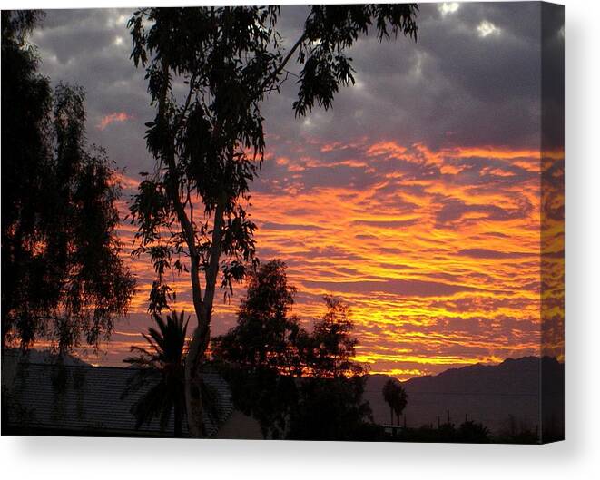 Arizona Canvas Print featuring the photograph Arizona Sunset #2 by Lessandra Grimley