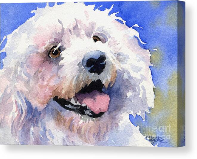 Bichon Canvas Print featuring the painting Bichon Frise by David Rogers