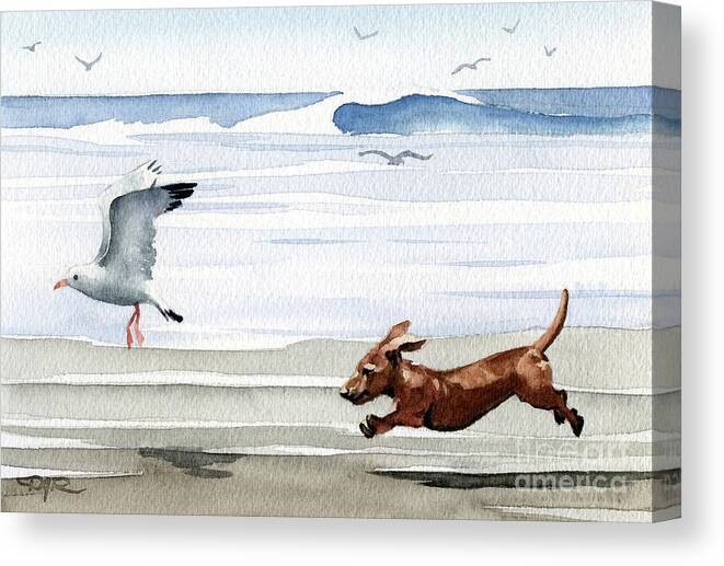 Dachshund Running Playing Seagull Beach Ocean Waves Shore Pet Dog Breed Canine Art Print Artwork Painting Watercolor Gift Gifts Picture Canvas Print featuring the painting Dachshund at the Beach by David Rogers