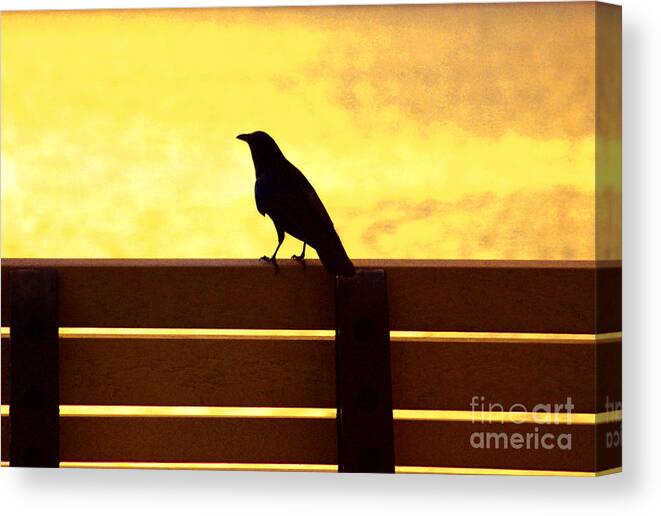 Bird Canvas Print featuring the photograph 20- Waiting by Joseph Keane